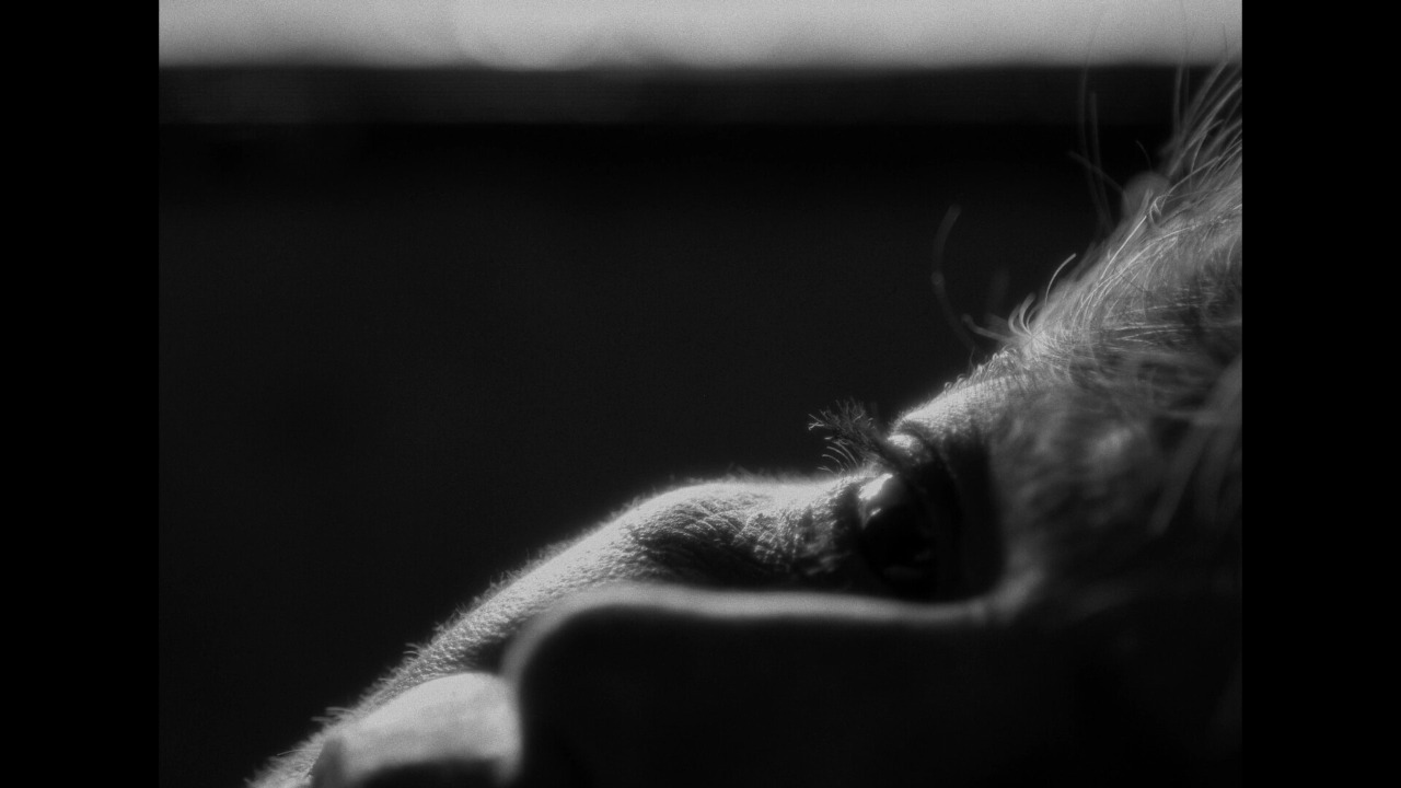 Anatomy of a Portrait 